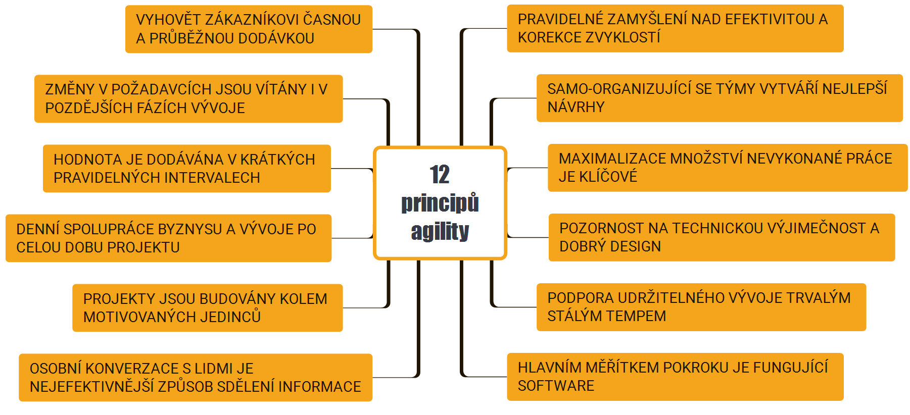 12 principů agility